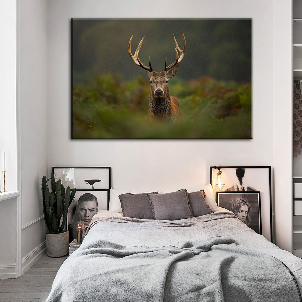 Curios Deer Amongst Ferns - Canvas Wall Art Painting